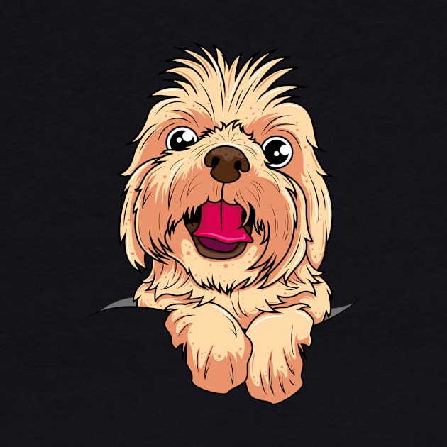 Cute Yorkshire Terrier Face by ReaBelle